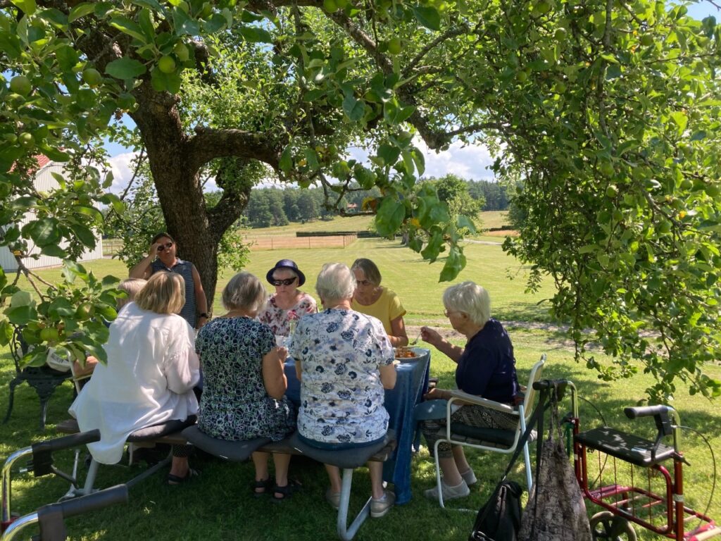 människor som sitter under ett träd