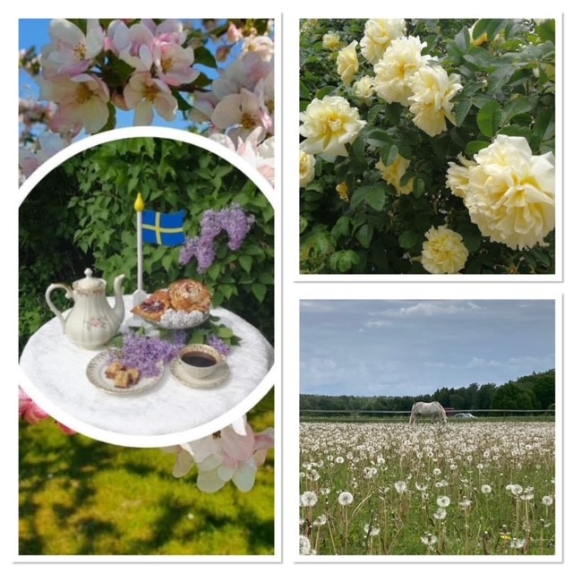 Collage 3 bilder Collage 3 bilder