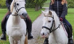 Beskuren celine o Cocktail o Ellen o mormor